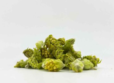 Greek mountain tea